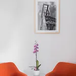 Hotel La Loggia 4*